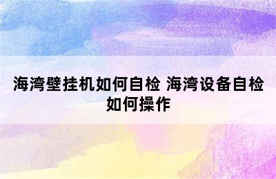 海湾壁挂机如何自检 海湾设备自检如何操作